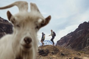 S23 FACET75 COND CHILE 9021