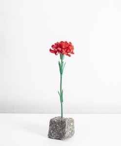 Vladimir Turner: Flower Power  / Foto Dita Havránková