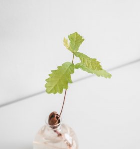 Foto Oscar Helgstrand via unsplash.com