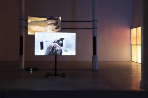 Foto ©Dominika Goralska, PLATO