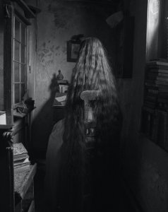 Tereza Zelenková, Chamber