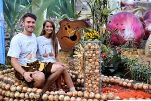 302128353 507299808064492 2610262446008639270 N