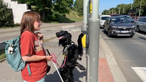 Držitelkou nově vycvičeného psího asistenta Enza je slečna Viki. 