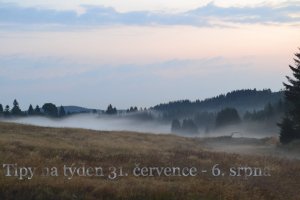 Landart festival Königsmühle i letos spojuje pomíjivým uměním Němce a Čechy / Foto: Festival Königsmühle