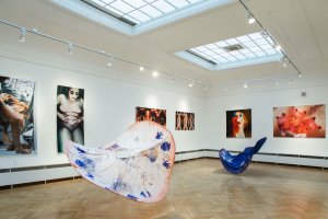 V minulých letech festival nabídl návštěvníkům také výstavu Veroniky Šrek Bromové