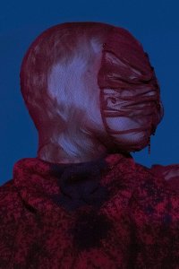 Ivana Janigová: Folie Imposée