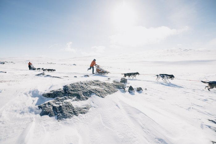 Fjällräven Polar 2024: Vydejte Se Na Své životní  Dobrodružství 