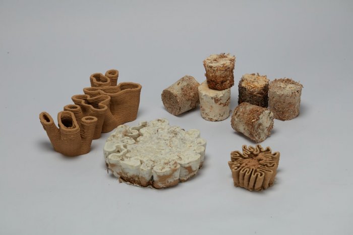 Mycelaab, Unikátní Projekt Spojující 3D Tisk A Využití Mycelií, Byl Oceněn V Jordánsku