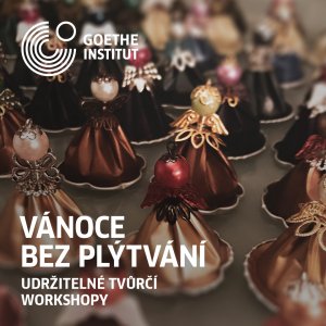 Vánoce Bez Plýtvání V Goethe Institutu (2)
