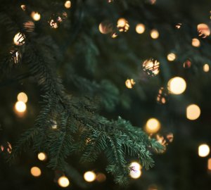 Foto Morgane Le Breton via unsplash.com