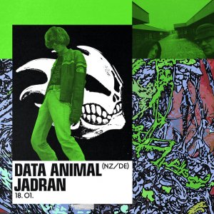 Dataanimal.jadran