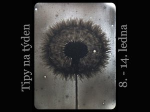 Experimentující vizuální umělec Ondřej Přibyl (1978) vystavuje v Galerii současného umění a architektury – Dům umění města
České Budějovice / Foto (c) Ondřej Přibyl