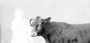 NZM Praha, Ukryto v muzeu – výstava V2023011