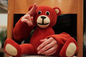 Pozdrav od Medvídka pro hravou výuku znakového jazyka (archiv Tamtamu)