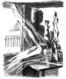 Ilustrace: Anežka Hájková: Postavení slunce