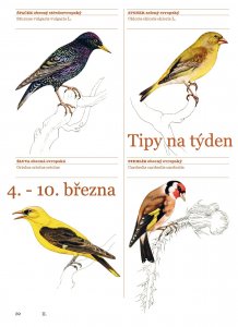 Křest knihy Pražské ptactvo 1800–2020 (Ptáci – město – příběh hrdiny) proběhne 7.3. v Přítomnosti (Siwiecova 1, Praha 3) / (c) Revolver Revue