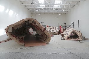 Foto Aleksandra Vajd