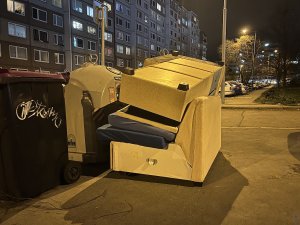 Nepořádek u popelnic (ilustrační foto)