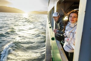 S24 ODX WA MG 0508 Preview Download