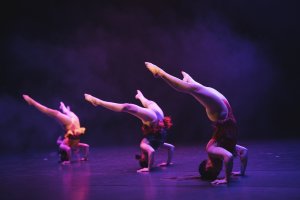 Since1994 / Spin Photographer