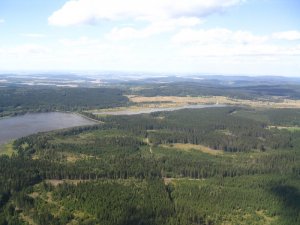 Padrť / Ilustrační foto Vojenské lesy a statky