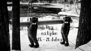 Filmová senzace Stovky bobrů v českých kinech / Foto (c) Aerofilms