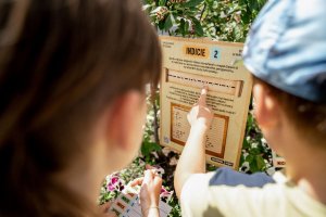 Hledání Ztraceného žezla