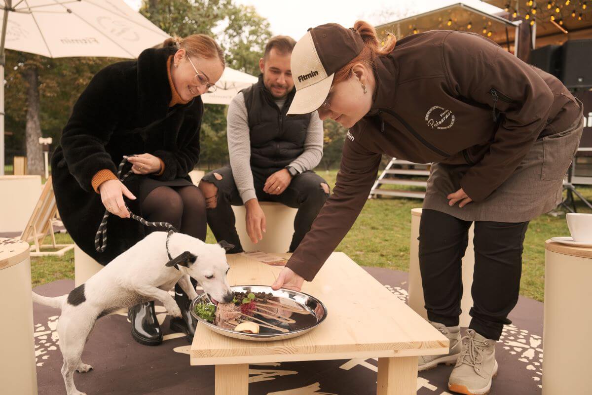 Nezapomenutelný zážitek si pejsci užijí ve Fitmin Pestauraci