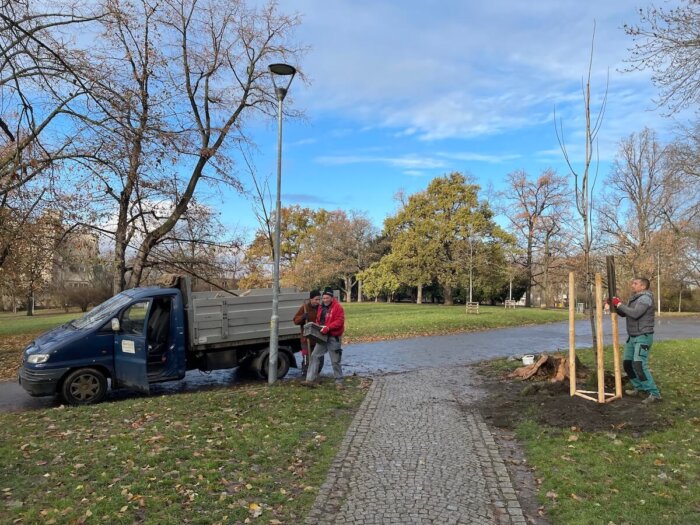 Praha 2 Vysadí Na Hřištích A V Parcích 36 Stromů