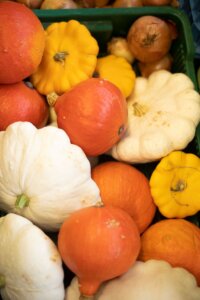 Dýně Hala 22