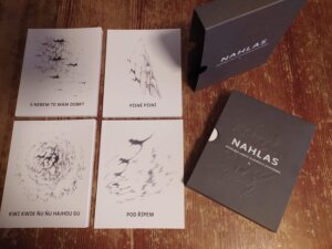 469093211 609269558211479 1452437285972744149 N