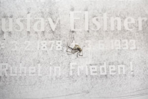 Zde Odpořívá V Pokoji Výstava UMPRUM V NISA Factory Foto Šimona Němečková (16)