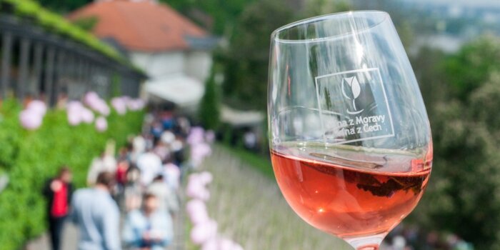 Svátek Růžových Vín / Zdroj: Vinařský Fond
