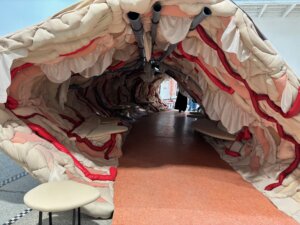 Výstavní projekt Evy Koťátkové "Srdce žirafy v zajetí je o dvanáct kilo lehčí" byl vybrán coby české zastoupení na 60. bienále umění v Benátkách