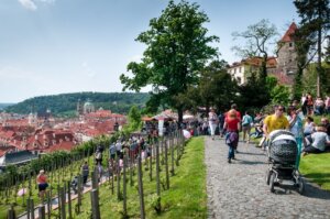 Svátek růžových vín proběhne opět ve Ville Richter a na přilehlé Svatováclavské vinici