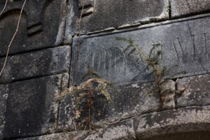 Herrmann Tomsej Prague Cemeteries Wayfinding Vojtech Veskrna 08