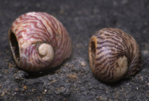 Foto Petr Zajíček/Správa jeskyní ČR