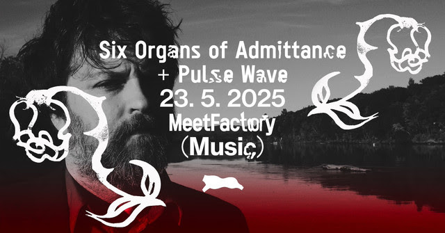 Six Organs Of Admittance + Pulse Wave V MeetFactory