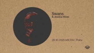 Swans
