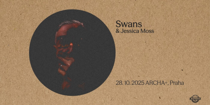 Swans