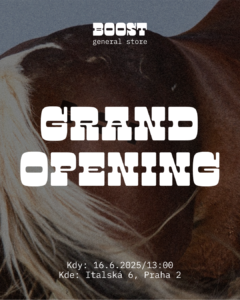 494688831 1009181361408276 1264803149132937486 N