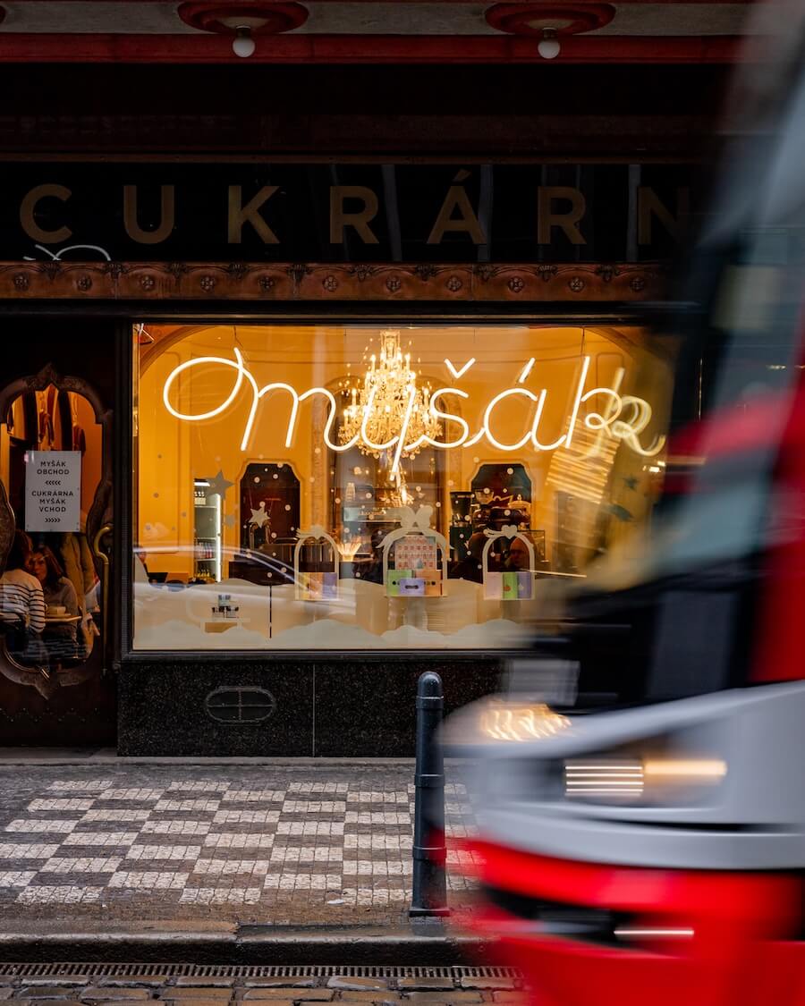 Myšák, foto Archiv Ambiente