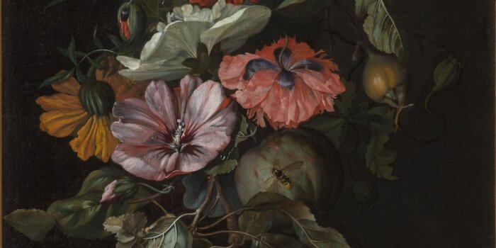 Rachel Ruysch, Feston S Ovocem A Květinami, 1682, NGP