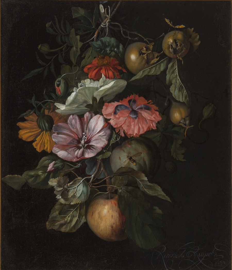 Rachel Ruysch, Feston s ovocem a květinami, 1682, NGP