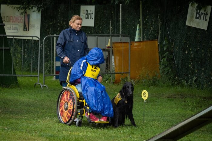Pořadatelé Na Mistrovství ČR Vyhodnotili Nejlepší Výkony Asistenčních A Vodících Psů