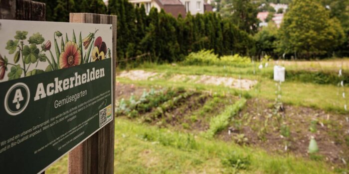 Urban Gardening Na Hřbitově Neustift © Harald Lachner