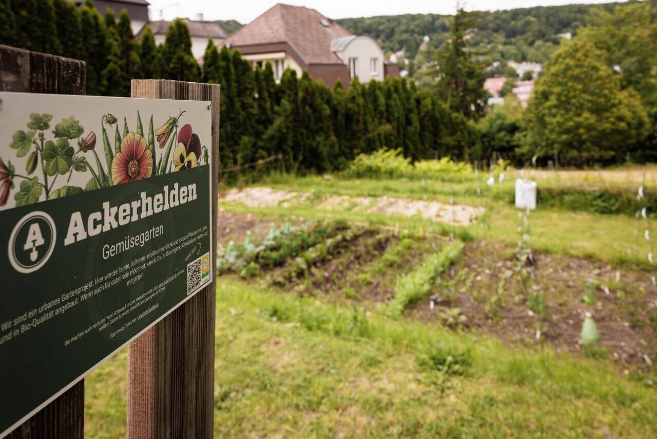 Urban gardening na hřbitově Neustift © Harald Lachner