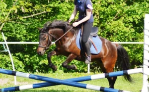 Jezdecký Klub (autor Ensana).wepp