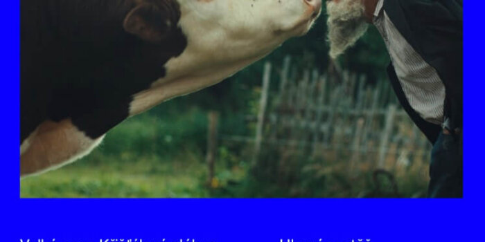 Vary