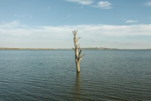 20191017 TOYOTA POCESKU JIZNI MORAVA DEVICKY CZ LR 0013 1